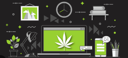 Elevating Cannabis Brands with a Strategic Dispensary&hellip;