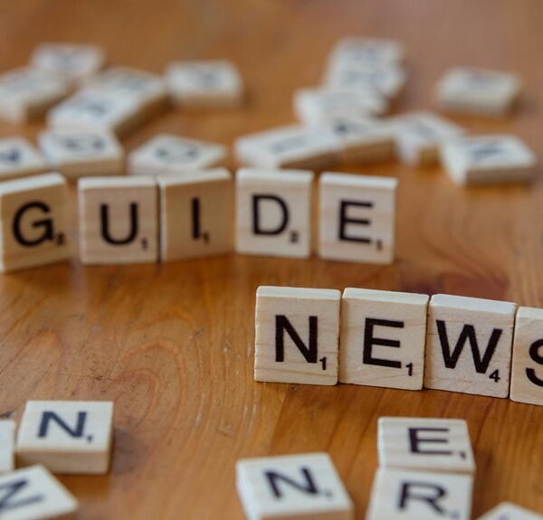 professional news website creation