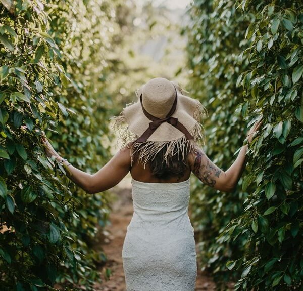 coffee farm tour experiences