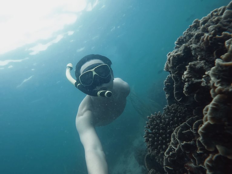 tropical snorkeling adventure tours