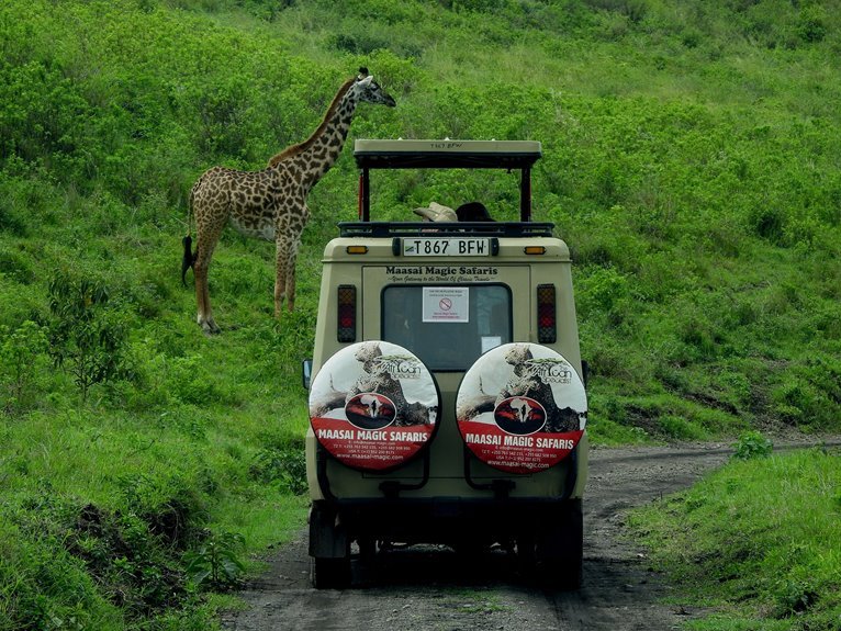 wildlife safari exploration tours