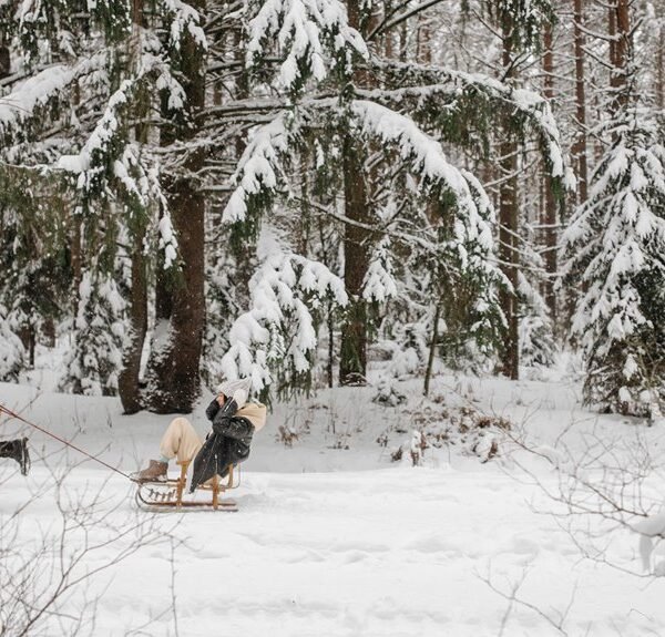 2518421488, 2566177052, 2567228306, 2602531212, Snow&hellip;
